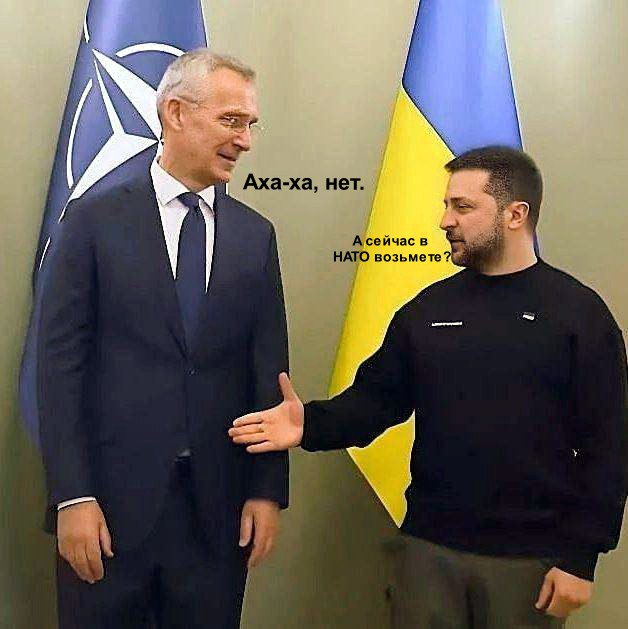 16891352009780.jpg