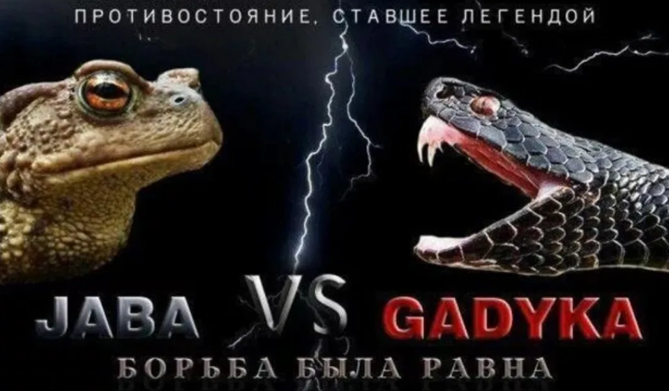 16897570179730.png