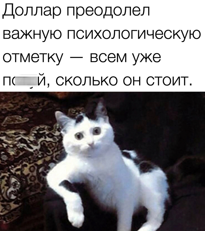 1691816187269719660.jpg