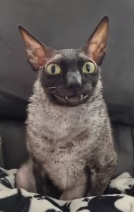 16948238161910.png