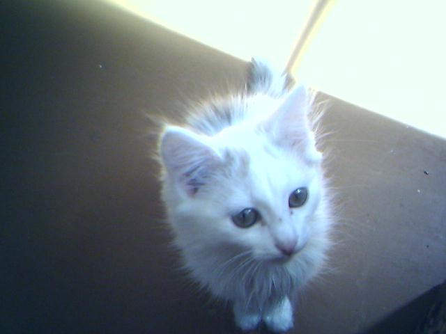 16-06-08_1600.jpg