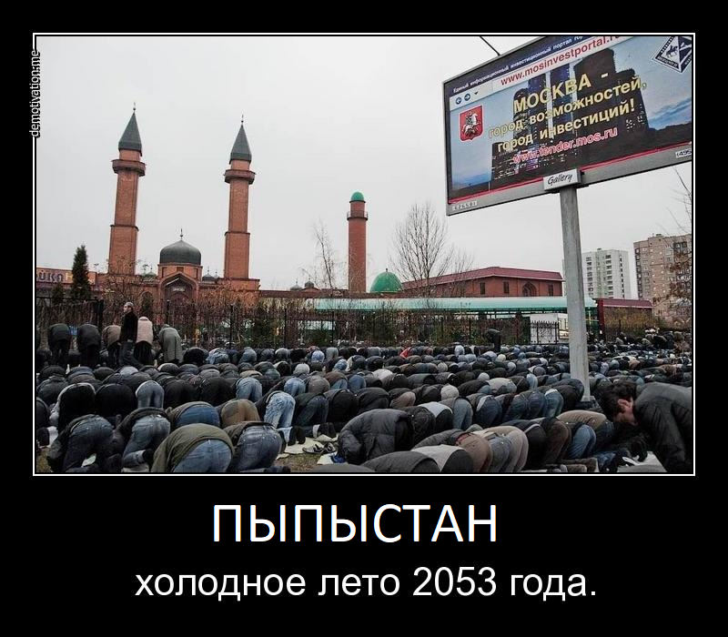 17325249974140.png
