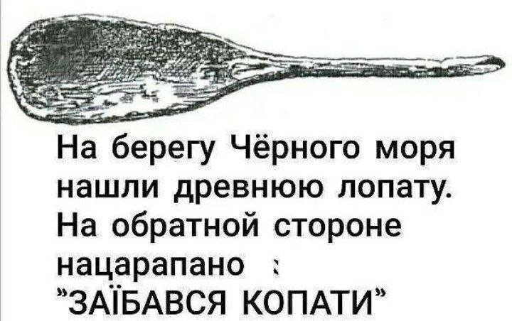1740225954131281782.jpg