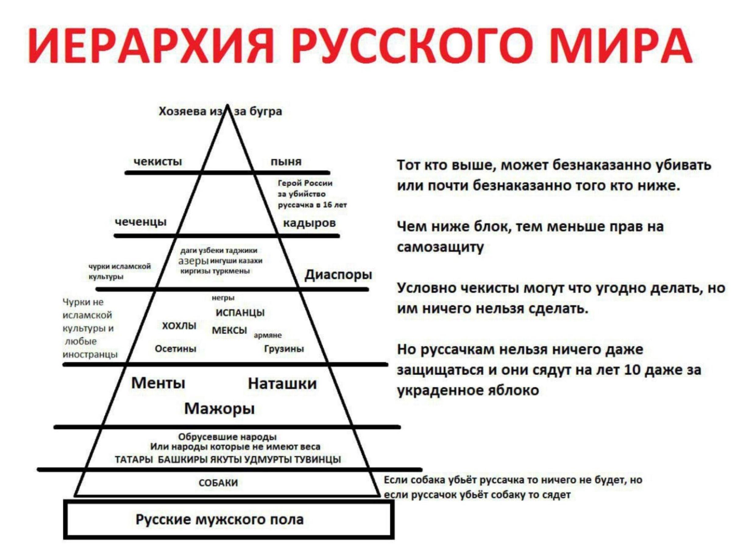 .jpg
