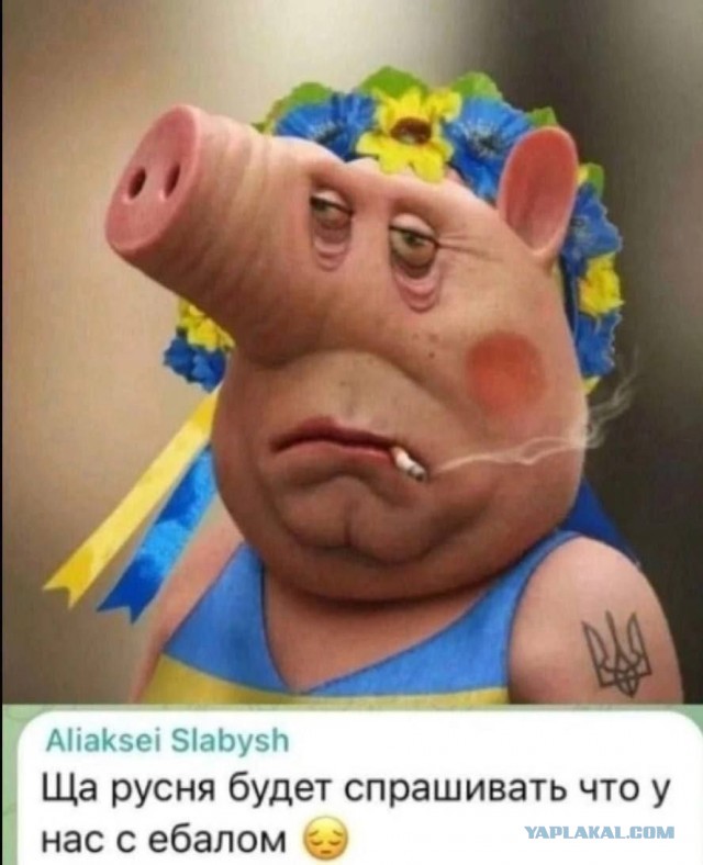 17622492.jpg