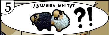 1.JPG