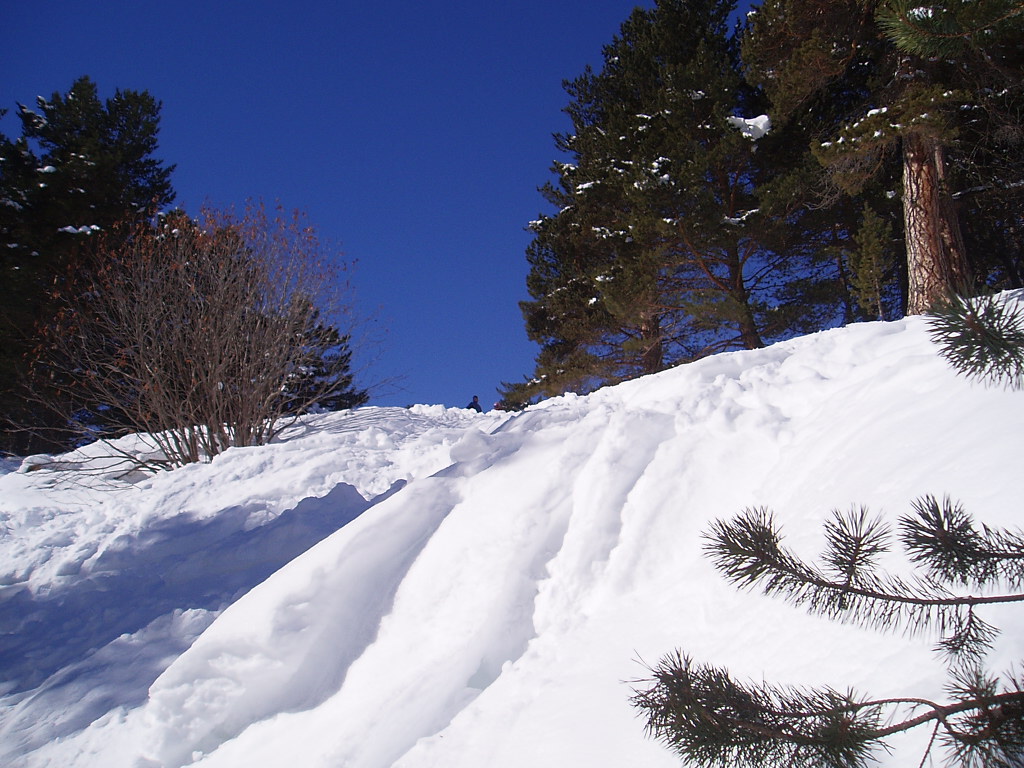 2005_0015.JPG