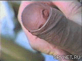 20110130_q0132qraovgm.gif