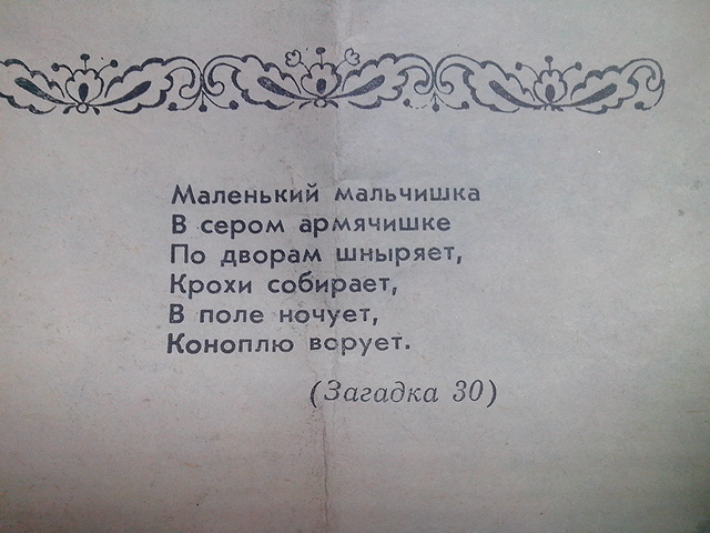 2016-12-30 17.56.39.jpg