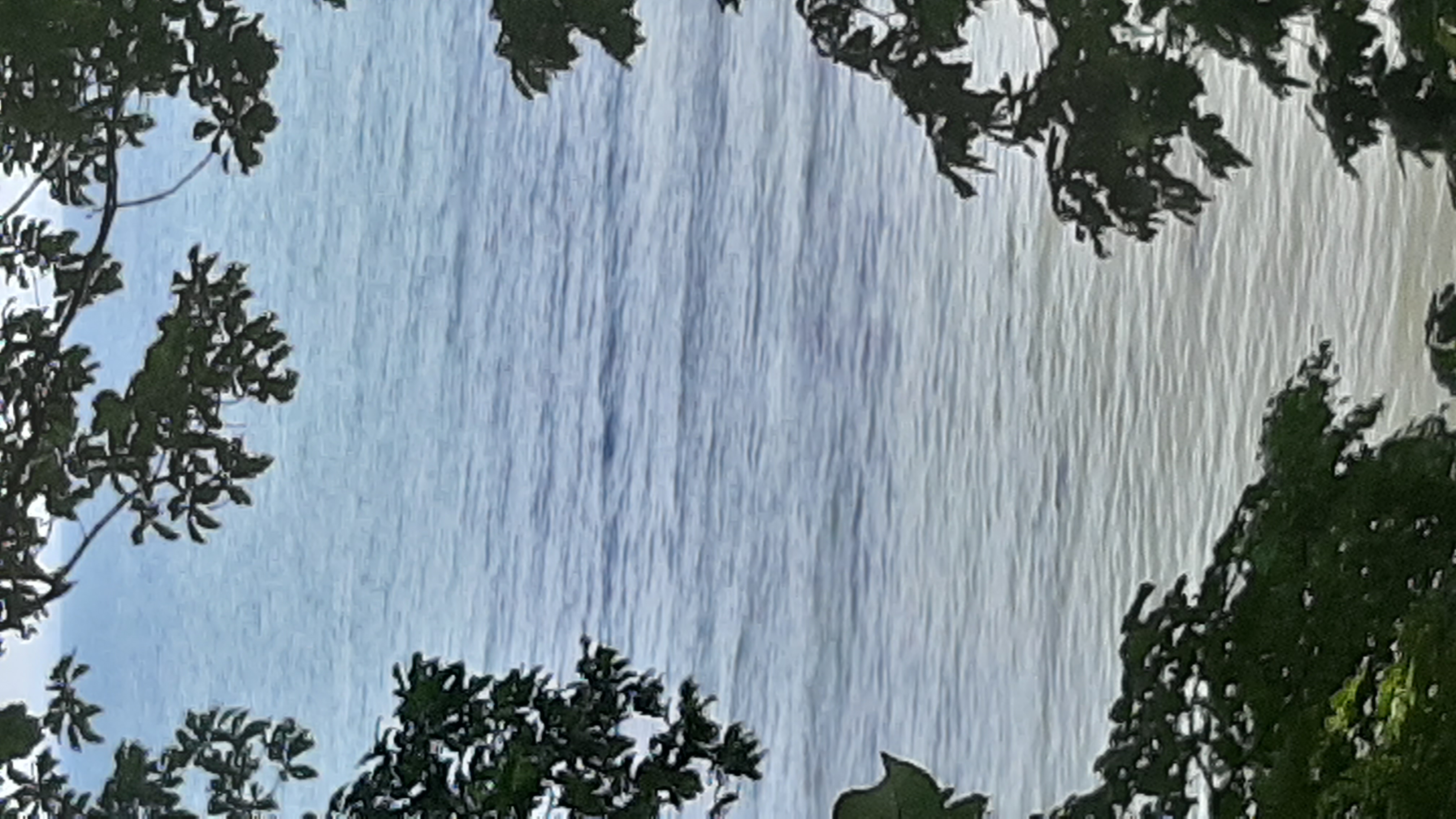 20200808_150023.jpg