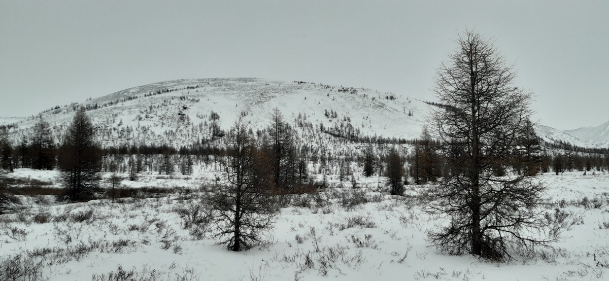 20221029_144499.jpg