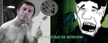 .jpg