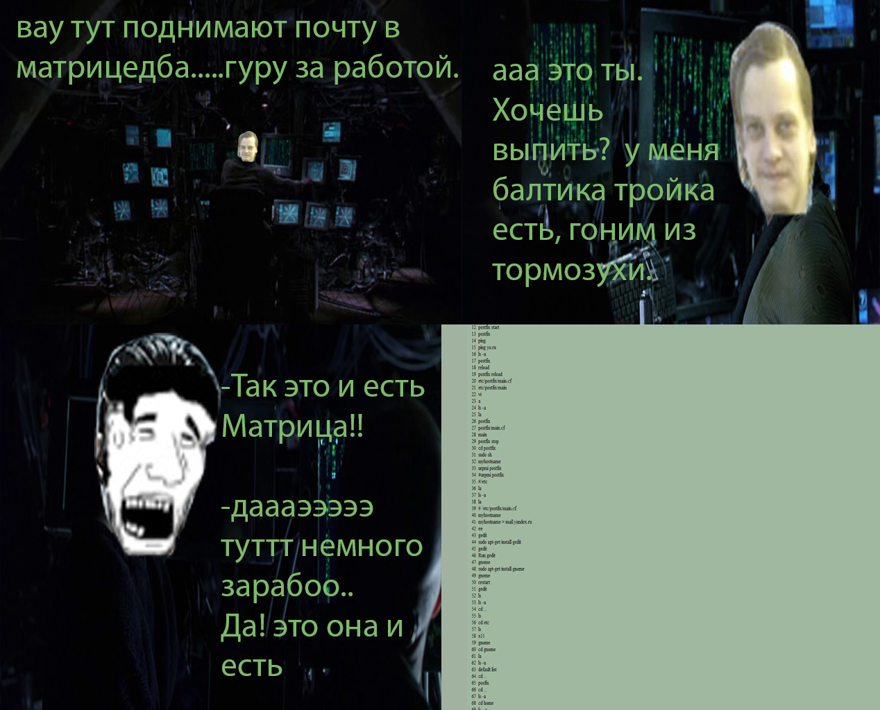 .jpg
