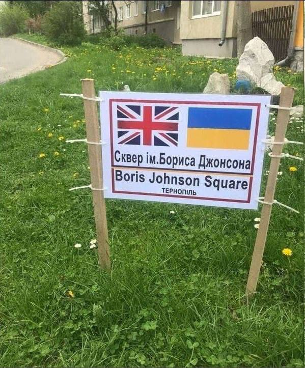 21643.jpg