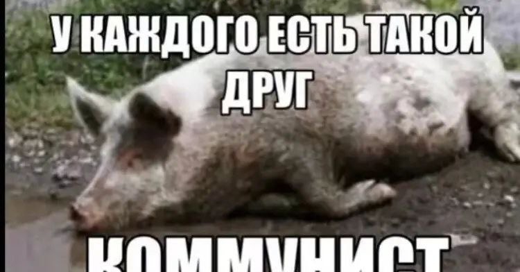 2167503.jpg