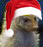 2180542354be25b8875ecf.jpg