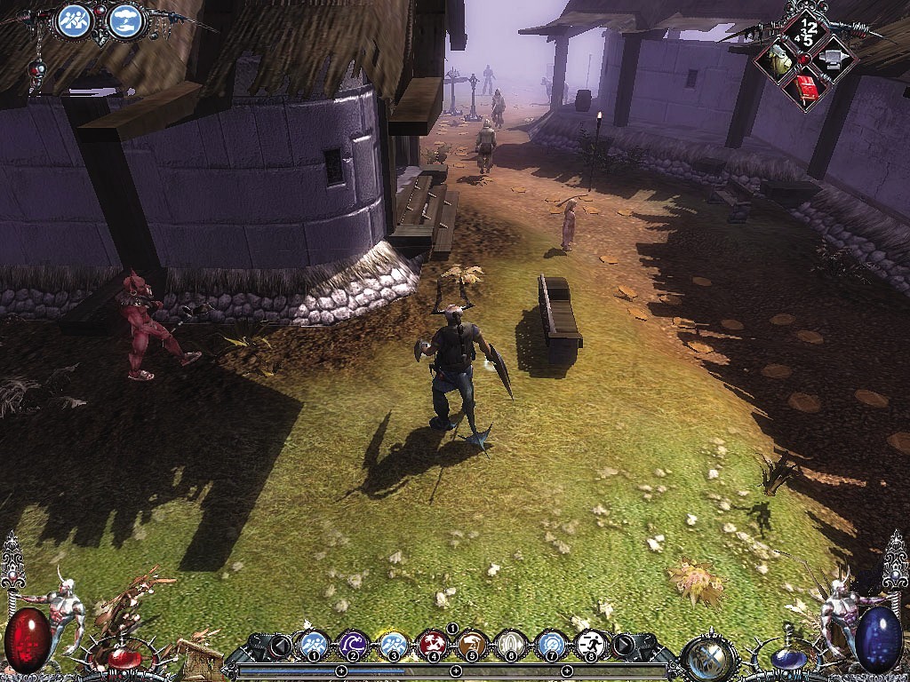 232131.jpg