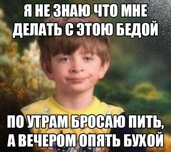 23531.jpg