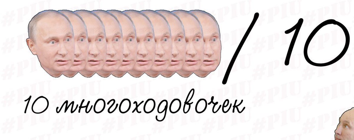 236623.jpg
