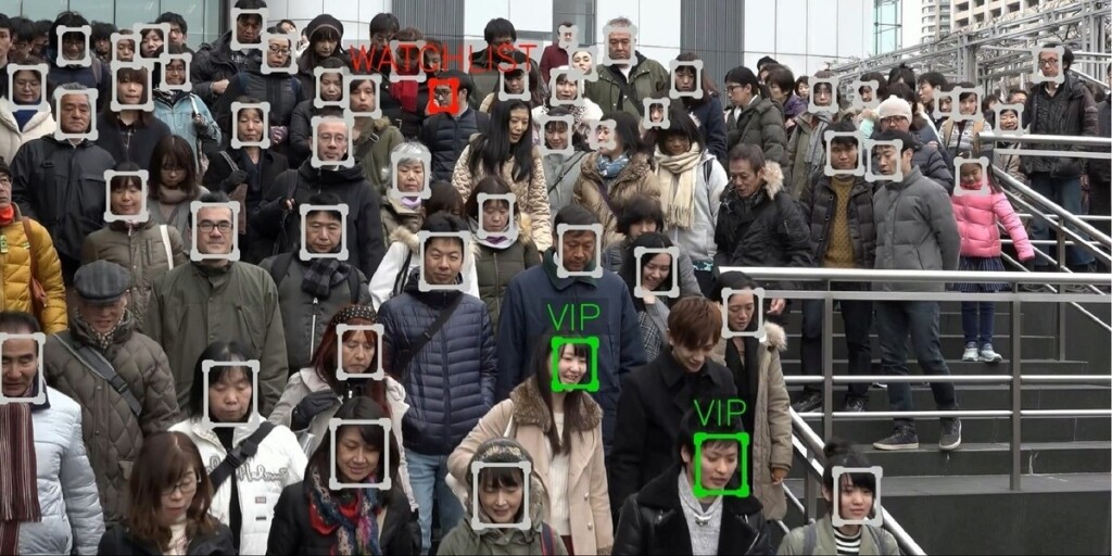 2366431.jpg