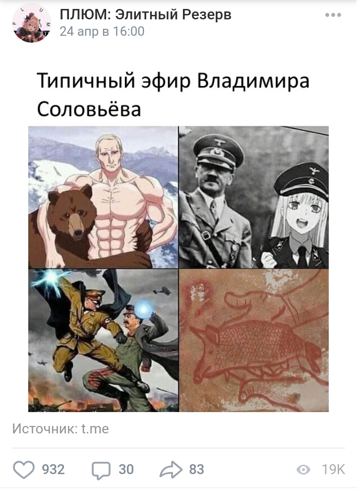 2366436.jpg