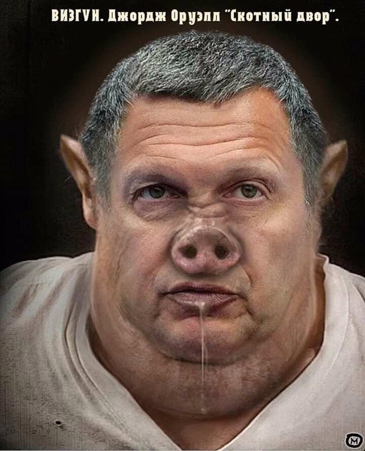 23666430.jpg