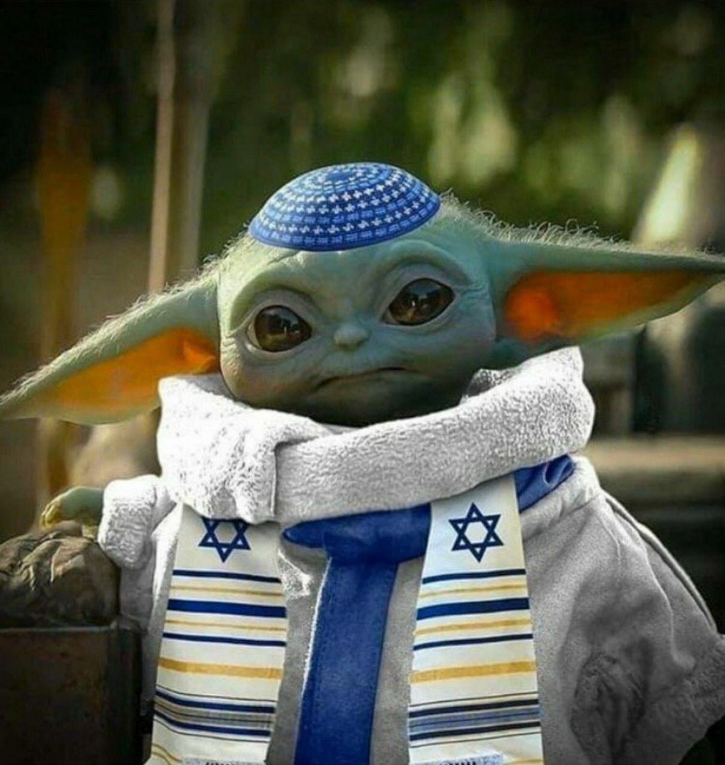 23667345.jpg