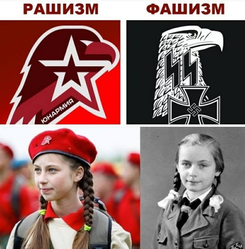 2367670.jpg