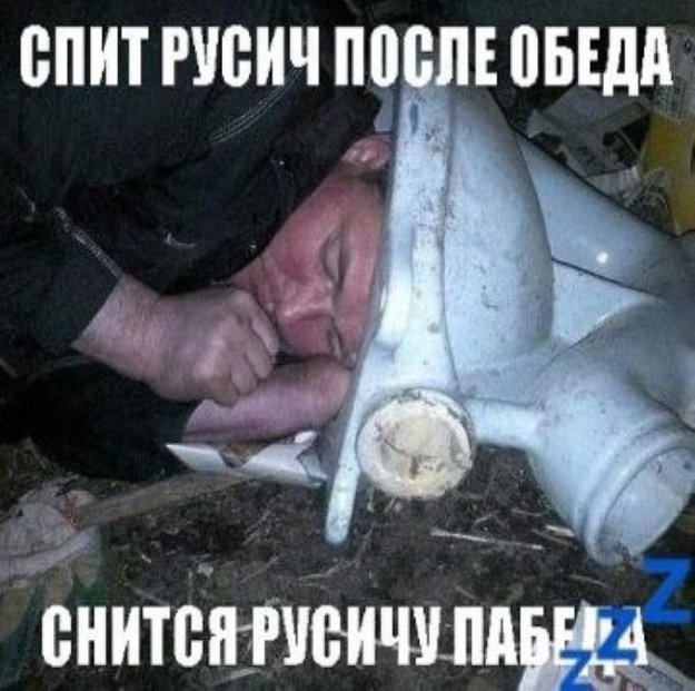 23677523.png