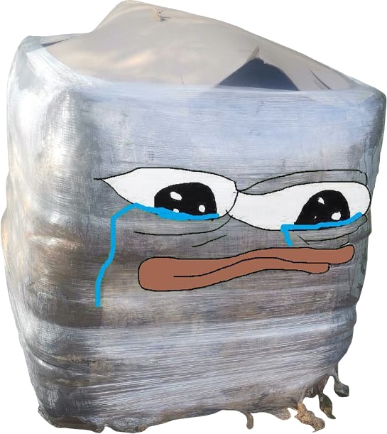 237313.jpg