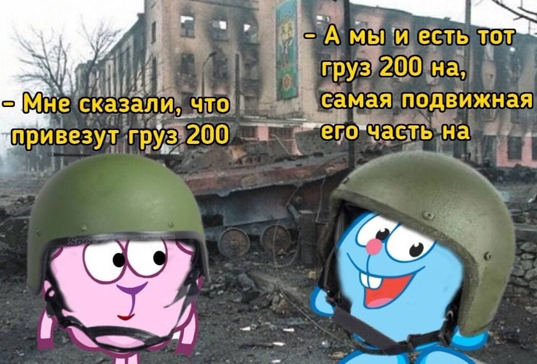 237530.jpg