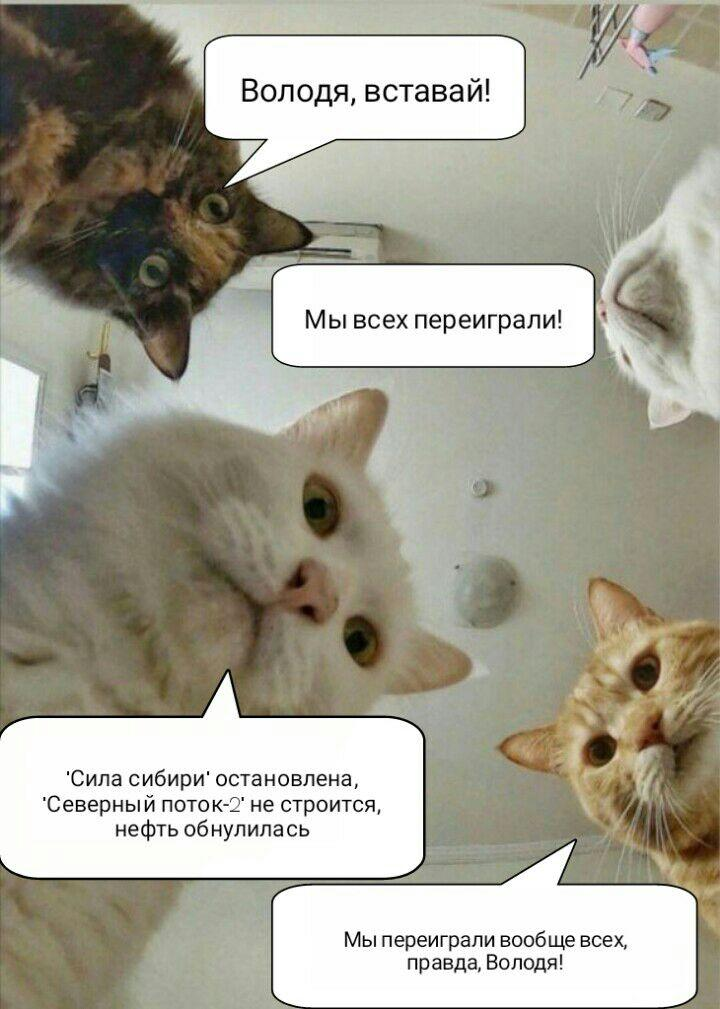 2375345754.png
