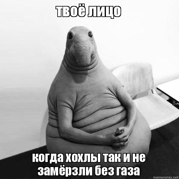 23754.jpg