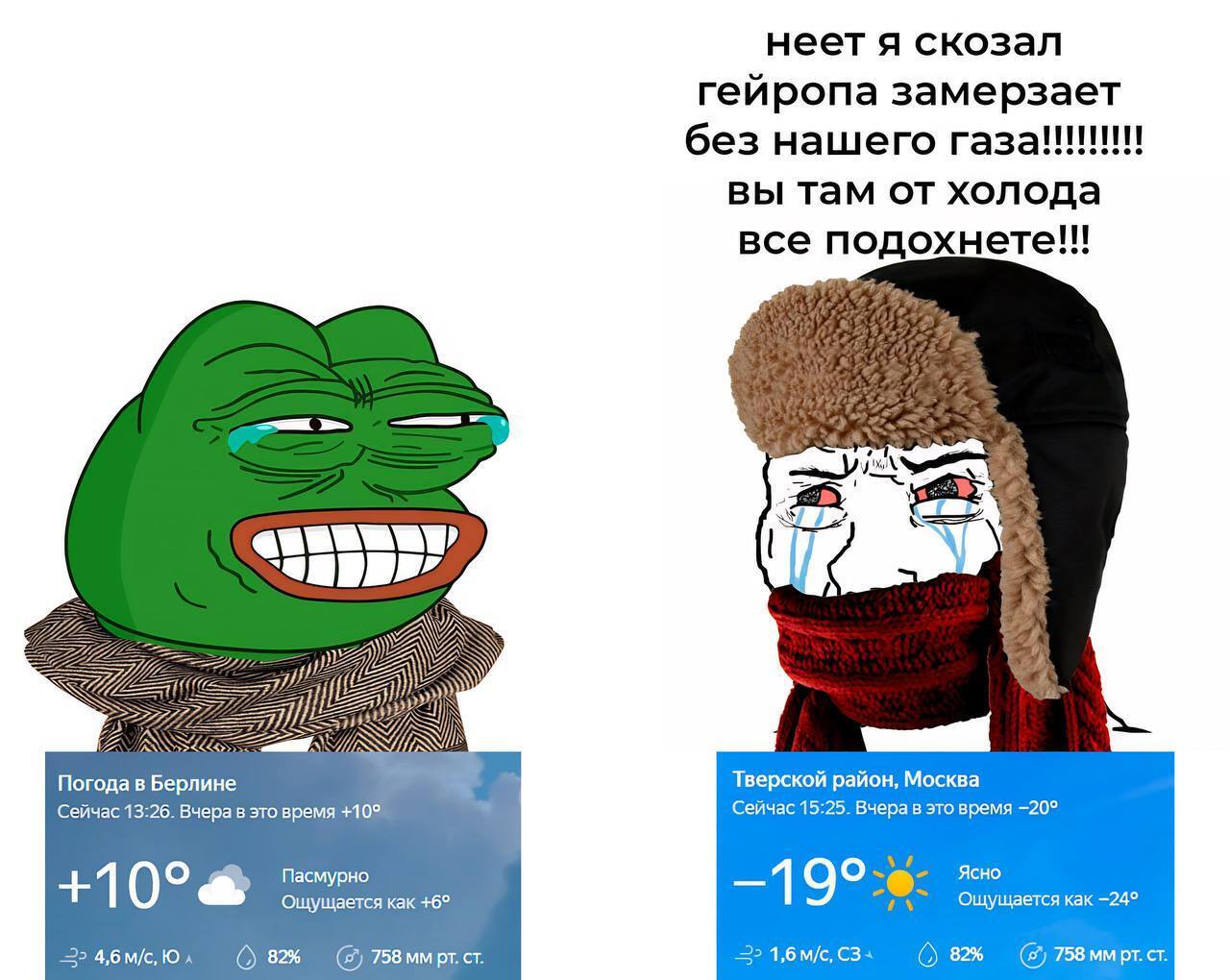 237553.jpg
