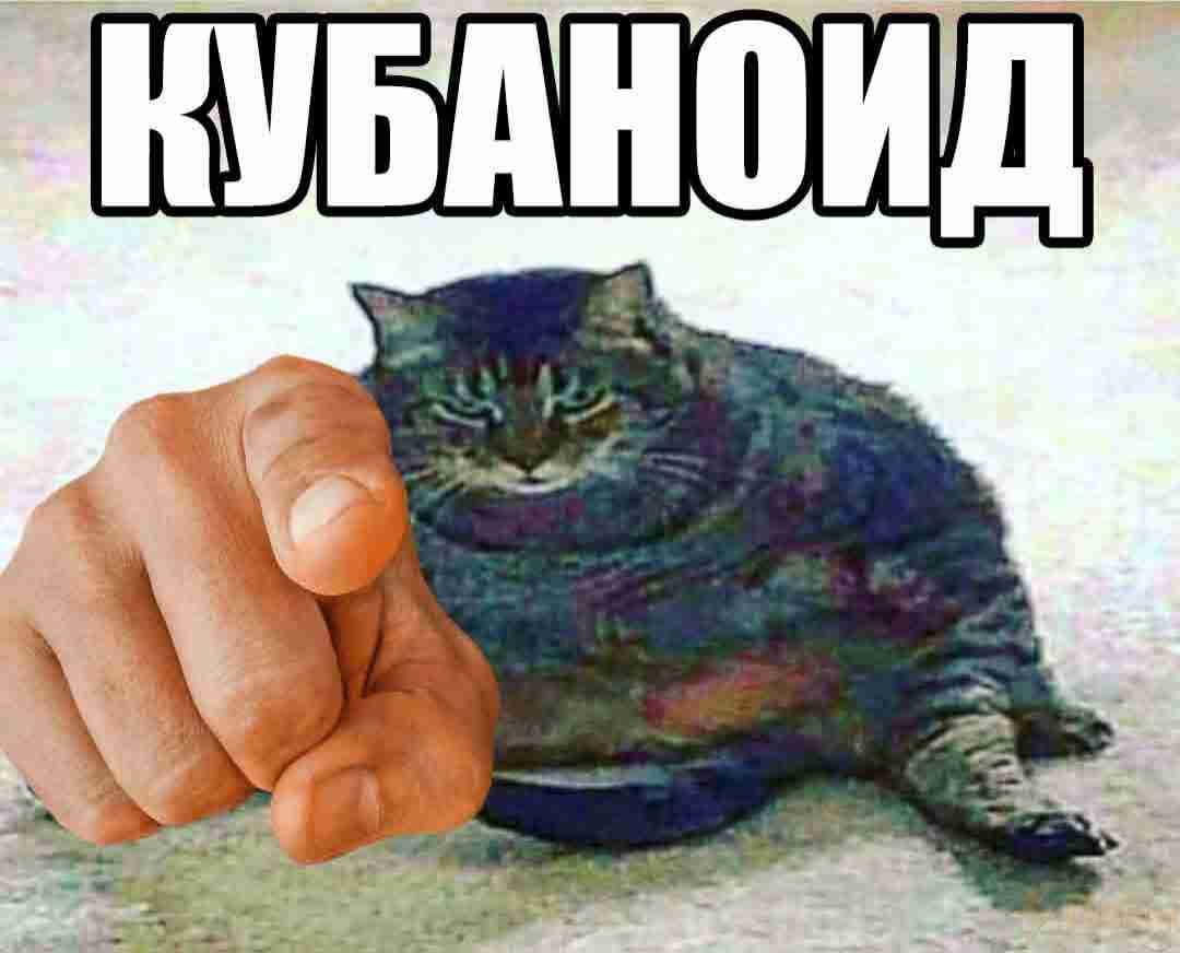 23756056702.jpg