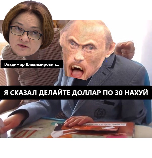 237570.jpg