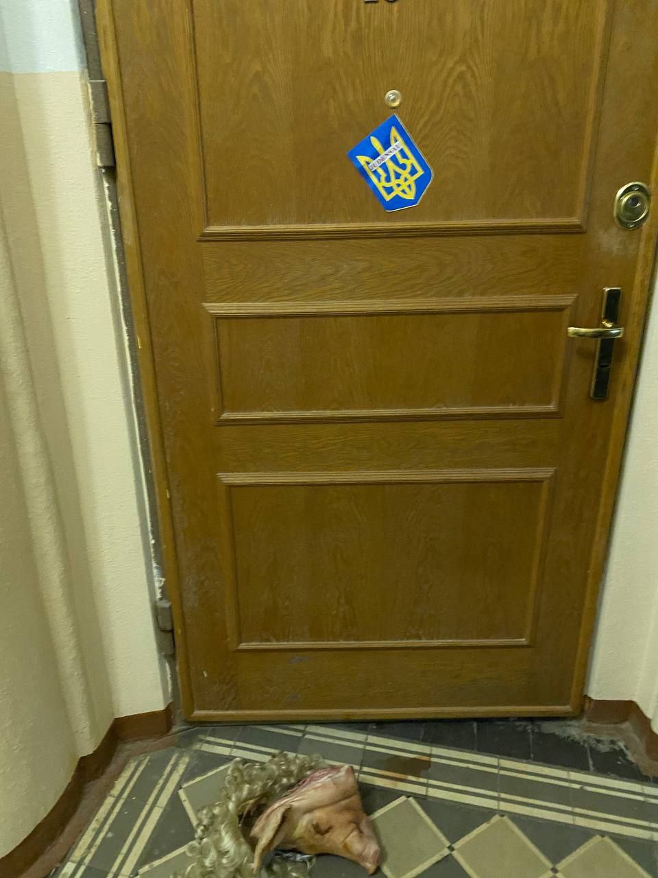 237570.jpg