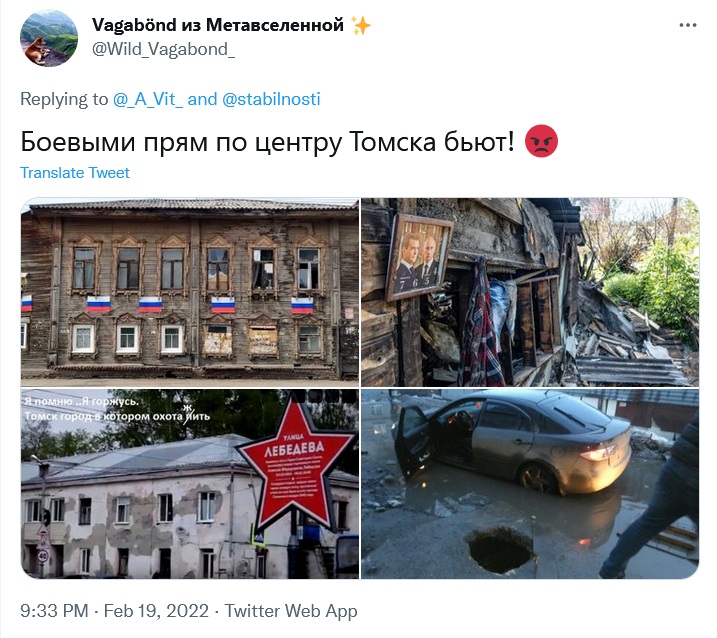 2375747.jpg