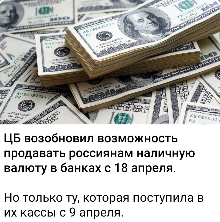 23775020.jpg