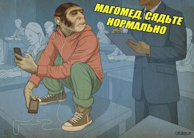 237750.jpg