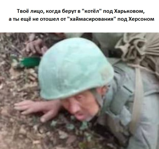23775234.jpg