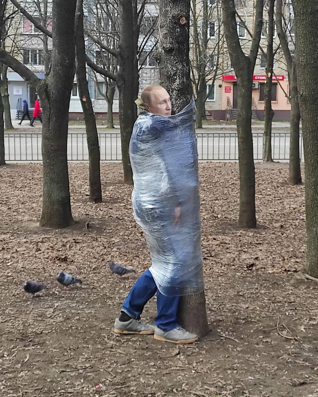 2377523.jpg