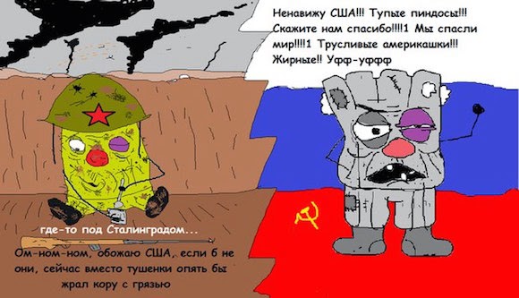 2377534.jpg