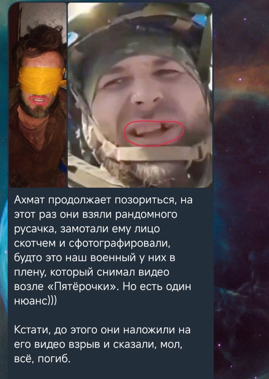 2377543.jpg