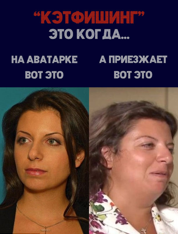 2377544.jpeg