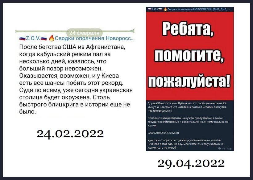 237754.jpg