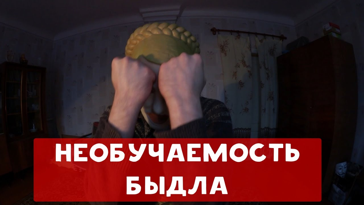 237754.png