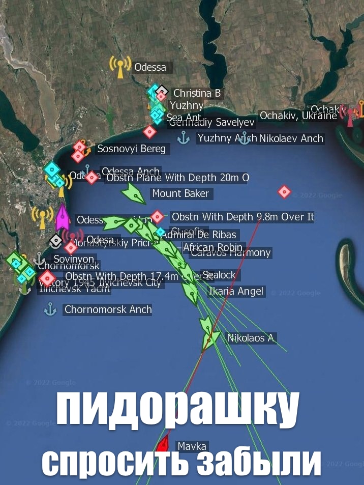 2378604.jpg
