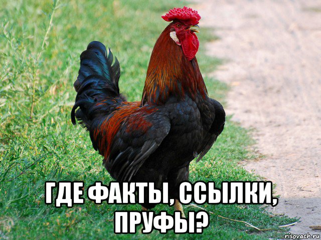 2378645.jpg