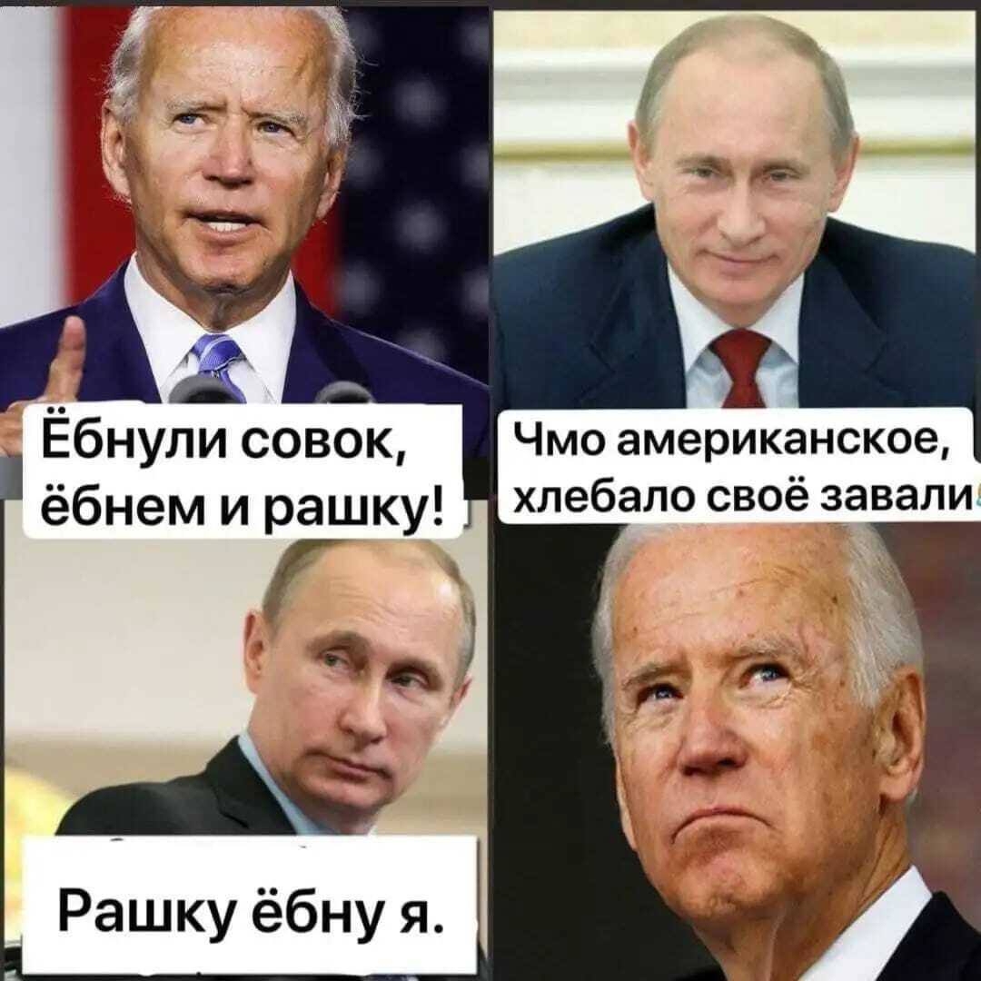 2378803.jpg